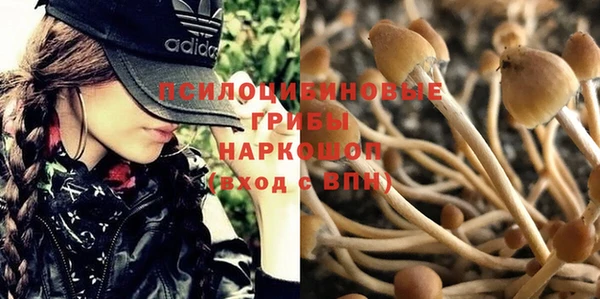 гашик Алзамай