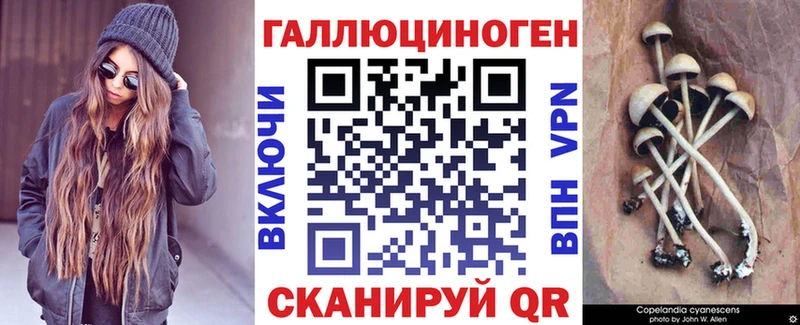 Псилоцибиновые грибы прущие грибы  Петровск-Забайкальский 